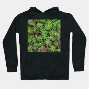 Green Common Haircap Moss Hoodie